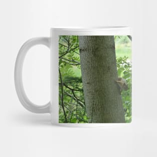 Red Squirrel Mug